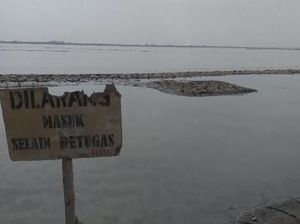 Tersangkut Kasus Lapindo yang 17 Tahun Nggak Kelar, Segini Harta Keluarga Bakrie Tersangkut Kasus Lapindo yang 17 Tahun Nggak Kelar, Segini Harta Keluarga Bakrie