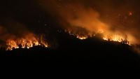 Penampakan Kobaran Api di Hutan Gunung Merapi Ungup-ungup