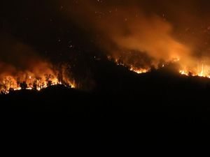 Penampakan Kobaran Api di Hutan Gunung Merapi Ungup-ungup
