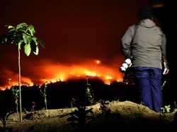 Imbas Kebakaran Hutan di Sumatera, Produksi Gas RI Anjlok