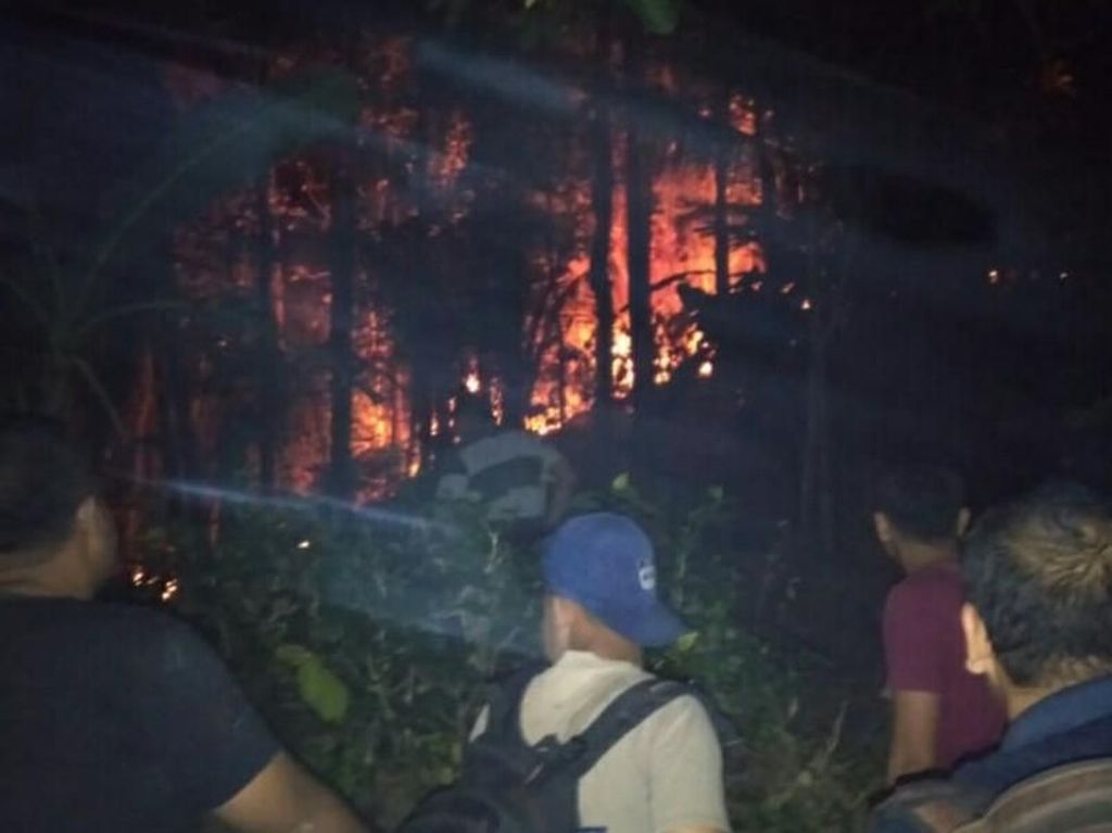 8 Hektare Hutan Pinus di Trenggalek Terbakar 8 Hektare Hutan Pinus di Trenggalek Terbakar