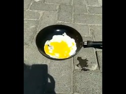 Video Viral Masak Telur Pakai Cuaca Panas