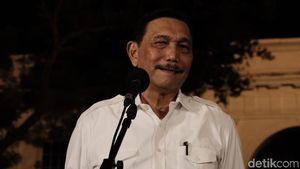 Jepang Ngadu Soal Izin Kementerian PUPR, Luhut Bakal Bicara ke Basuki