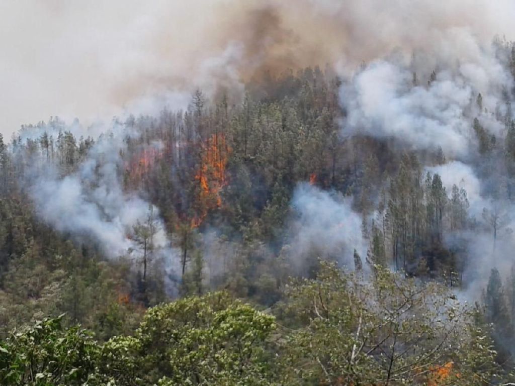 75 Hektare Area Hutan Gunung Bawakaraeng Sulsel Terbakar 75 Hektare Area Hutan Gunung Bawakaraeng Sulsel Terbakar