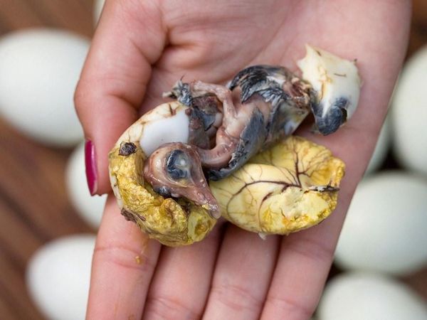 Balut Makanan Paling Kontroversial di Dunia, Ini Telur Isi Embrio Bebek