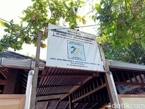 Heboh Bule Terekam CCTV Lompat Pagar Curi Puluhan Penyu di Sanur Heboh Bule Terekam CCTV Lompat Pagar Curi Puluhan Penyu di Sanur