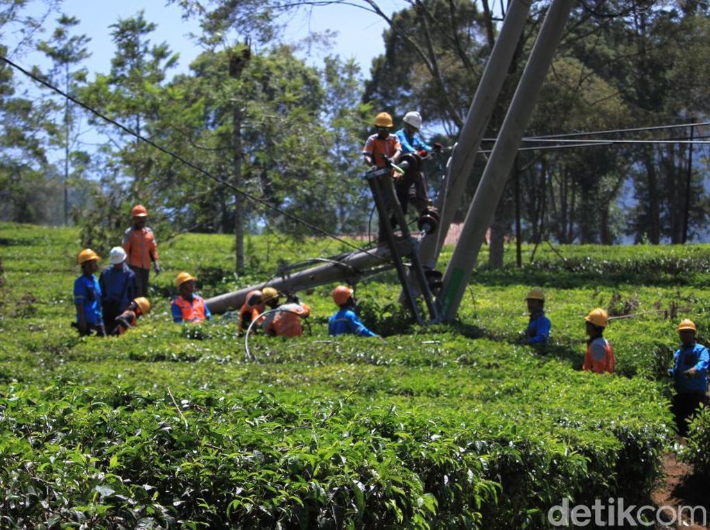 15 Tiang Roboh Diterpa Angin, Listrik di Pangalengan 2 Hari Mati 15 Tiang Roboh Diterpa Angin, Listrik di Pangalengan 2 Hari Mati