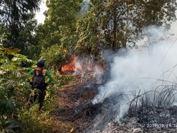 Tersangka Karhutla Jadi 362 Orang, 17 di Antaranya Korporasi