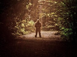 Ilmuwan Ini Berusaha Menguak Siapa Bigfooot Sebenarnya, Beruang atau Hominid?