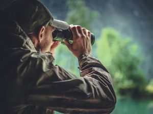Kisah Aktivis Satwa yang Bikin Video Liburan Dari Neraka