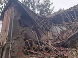 Pasangan Italia Selamat dari Tanah Longsor Berkat Kucing Peliharaan