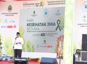 Hari Kesehatan Jiwa, Wagub Jabar Minta Tak Ada Diskriminasi ODGJ