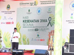 Hari Kesehatan Jiwa, Wagub Jabar Minta Tak Ada Diskriminasi ODGJ