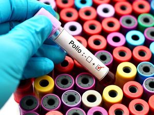 Gubernur New York Umumkan Darurat Bencana Polio Gubernur New York Umumkan Darurat Bencana Polio
