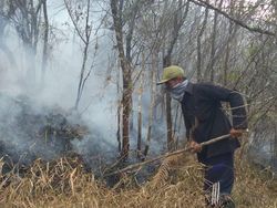 Hutan di Lereng Gunung Sumbing Kembali Terbakar