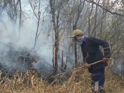 Hutan di Lereng Gunung Sumbing Kembali Terbakar