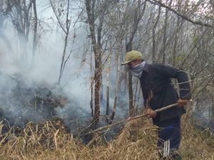 Hutan di Lereng Gunung Sumbing Kembali Terbakar Hutan di Lereng Gunung Sumbing Kembali Terbakar