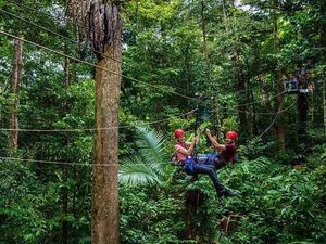 Pasutri Jatuh dari Flying Fox di Hutan Australia, 1 Orang Tewas dan 1 Luka