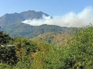 Sempat Padam, Gunung Malabar Bandung Kembali Terbakar Sempat Padam, Gunung Malabar Bandung Kembali Terbakar