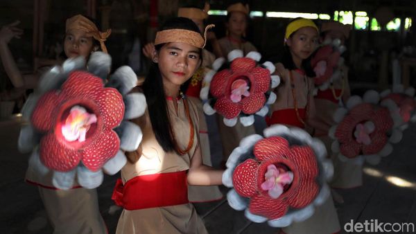 Jelajah Tapal Batas Detikcom dan PLN Terangi Negeri