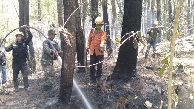 Berita Pemadaman Kebakaran Hutan Gunung Lompobattang Sulsel Masih Dilakukan Jumat 19 April 2024