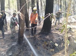 Pemadaman Kebakaran Hutan Gunung Lompobattang Sulsel Masih Dilakukan