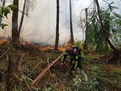 Kebakaran Hutan di Gunung Ciremai, Jalur Pendakian Masih Ditutup