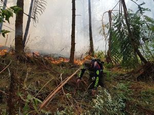 100 Ha Lahan di Gunung Ciremai Terbakar, Tersisa 1 Titik Api 100 Ha Lahan di Gunung Ciremai Terbakar, Tersisa 1 Titik Api