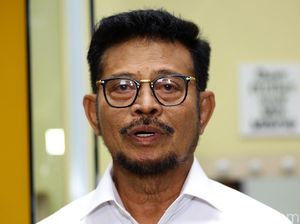 Mentan Ungkap Daerah yang Defisit Beras hingga Bawang Merah Mentan Ungkap Daerah yang Defisit Beras hingga Bawang Merah
