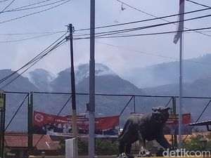 BPDB Sumedang Waspadai Kebakaran Hutan Saat Musim Kemarau