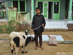 Siswa SD-SMP di Bandung Diberi Anak Ayam, di Purwakarta Dikasih Domba
