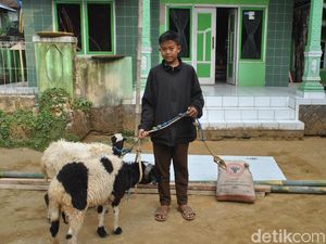 Siswa SD-SMP di Bandung Diberi Anak Ayam, di Purwakarta Dikasih Domba Siswa SD-SMP di Bandung Diberi Anak Ayam, di Purwakarta Dikasih Domba