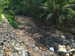 Sampah Kalibaru Tak Kunjung Diangkut, Pemkab Bogor: Harus Ekskavator Besar