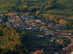Sisi Lain Kehidupan Lereng Merapi Sisi Lain Kehidupan Lereng Merapi