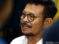 Kementan Mau Naikkan Alokasi Subsidi Pupuk