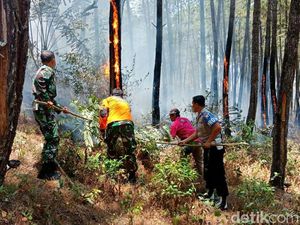 Dua Hutan Trenggalek Kembali Terbakar, Satu Warga Luka