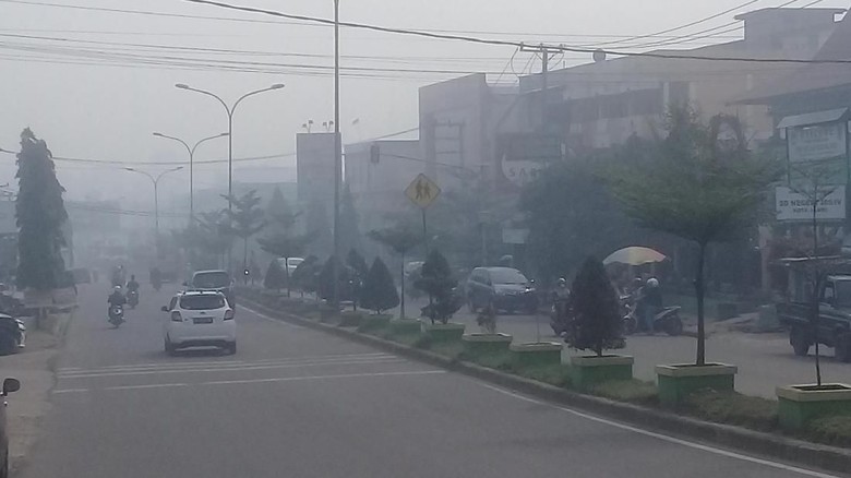 Warning BMKG, Kabut Asap Muncul Lagi di Jambi Jelang Puncak Kemarau September