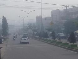 Warning BMKG, Kabut Asap Muncul Lagi di Jambi Jelang Puncak Kemarau September