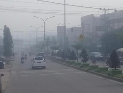Diselimuti Kabut Asap Pekat, Udara Jambi Pagi Ini Berbahaya