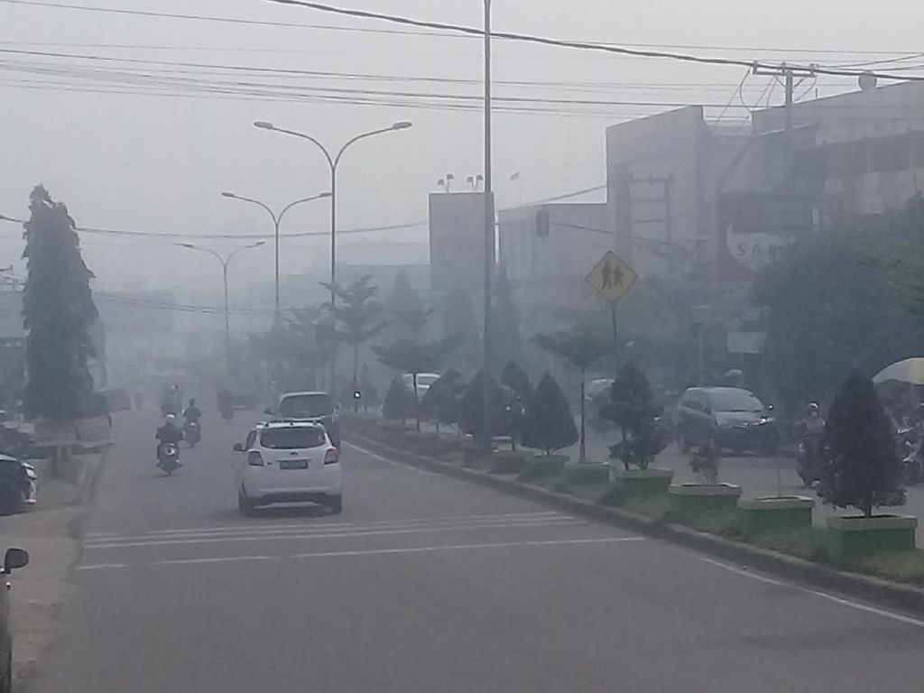 Diselimuti Kabut Asap Pekat, Udara Jambi Pagi Ini Berbahaya Diselimuti Kabut Asap Pekat, Udara Jambi Pagi Ini Berbahaya
