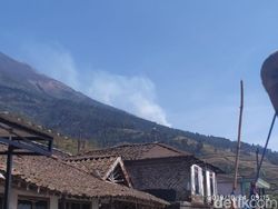 15 Hektare Hutan di Gunung Sumbing Terbakar, Api Belum Padam