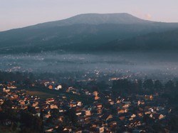 Tangkuban perahu Forests charm