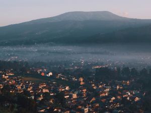 Tangkuban perahu Forests charm Tangkuban perahu Forests charm