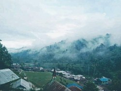 Salu Makki, permukiman di tengah hutan