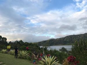 Bukan Lembang, Ini Destinasi yang Sempat Viral di Sulawesi Utara