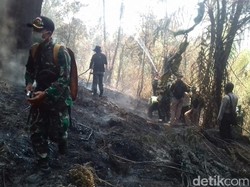 Banyak Satwa Turun Gunung Imbas Terbakarnya Pegunungan Ijen