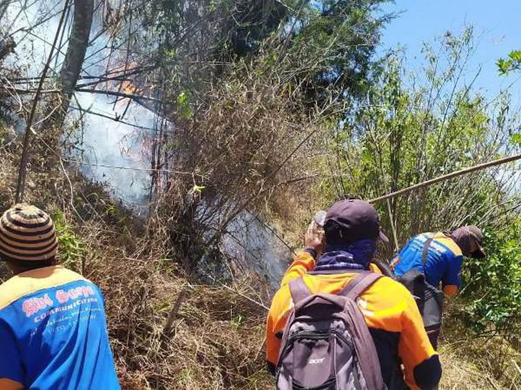 Belum Padam, Titik Api Masih Terlihat di Hutan Lereng Sumbing Belum Padam, Titik Api Masih Terlihat di Hutan Lereng Sumbing