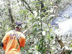 28 Hektare Gunung Butak Terbakar, Bupati Blitar Larang Pendakian