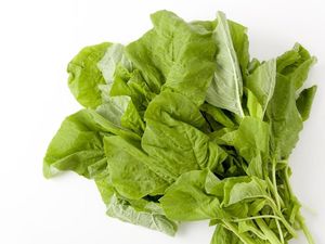 Makan Bayam Bisa Hamil Anak Kembar? Ini 5 Mitos dan Fakta Soal Sayur Bayam Makan Bayam Bisa Hamil Anak Kembar? Ini 5 Mitos dan Fakta Soal Sayur Bayam