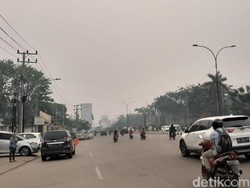 Palembang 2 Pekan Dikepung Kabut Asap, Menteri LHK Diminta Turun Tangan